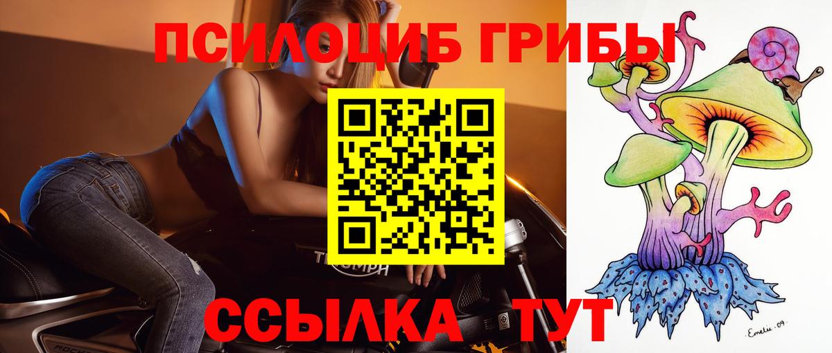 Черногорск  Галлюциногенные грибы прущие грибы  Вход с VPN 